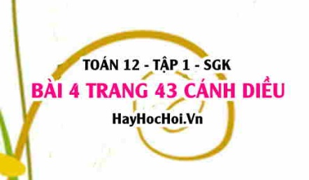 Bài 4 trang 43 Toán 12 tập 1 Cánh Diều